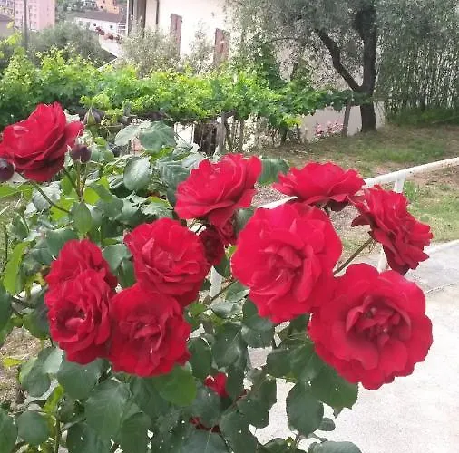 Apartament Casetta Del Nonno Bis Arcola