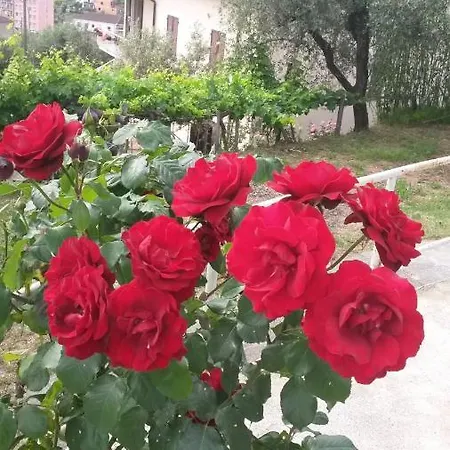 아파트 Casetta Del Nonno Bis 아르콜라